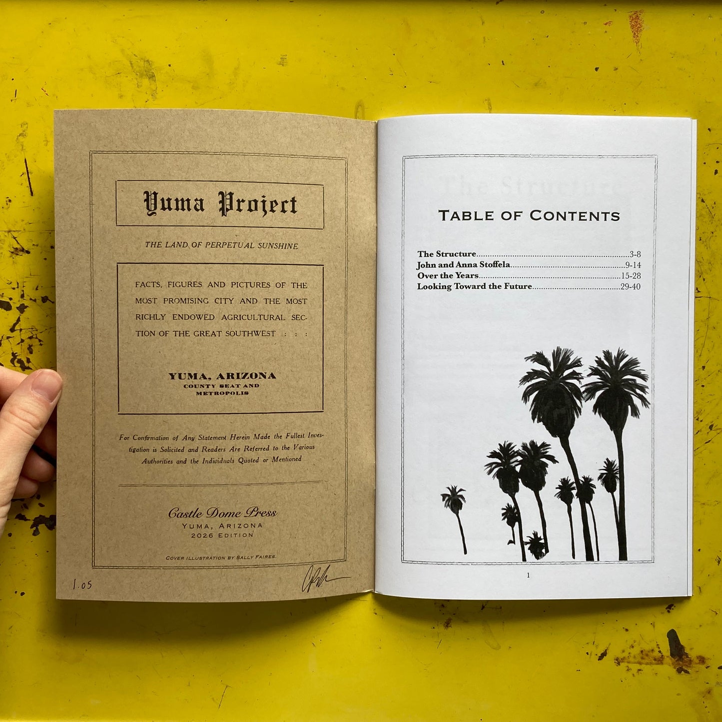 [Physical Book] The Stoffela Store: Yuma, AZ (Places of Consequence Series)